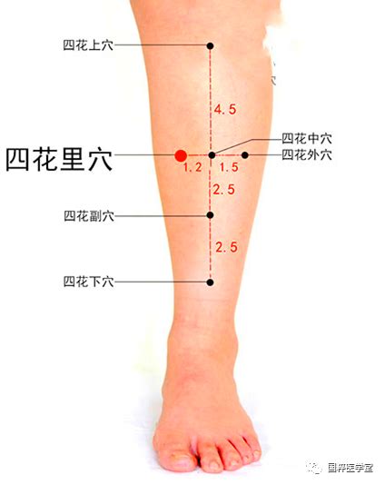 四花上穴|四花中穴 